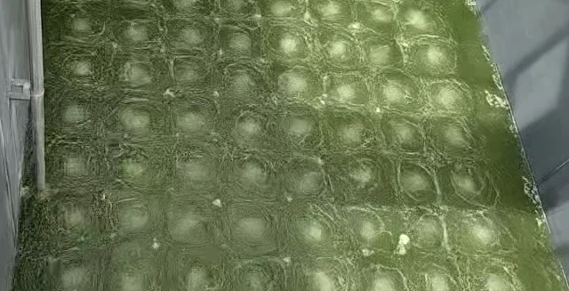 news-640-327 news-640-327